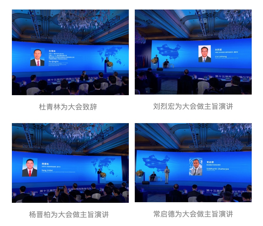 3000多位中国国有和民营企业领导及180多位国际组织、驻华使馆、商会的官员、代表和经济学家出席并演讲、对话。
