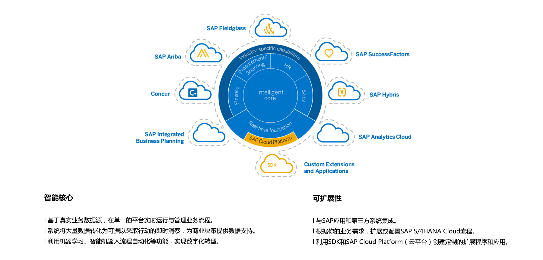 SAP S/4 HANA Cloud
